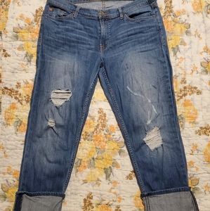 Hudson Crop Muse Distressed Jeans